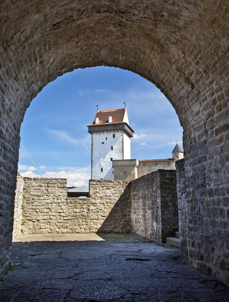 Estonia. Narva. Antigua fortaleza en la frontera con Rusia
 - Foto, Imagen