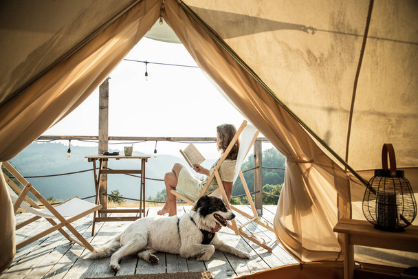 glamping or glamour camping with a dog - Photo, Image