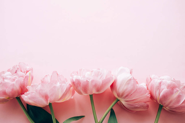 ピンクのバックグラウンドに美しいピンクのチューリップのフラットレイ. テキストのためのスペースを持つスタイリッシュな花の境界. ハッピーバレンタインデーと幸せな母の日. テンダーピンクの花のテンプレート - 写真・画像