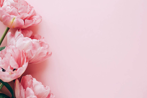 Bella rosa tulipani piatto laici su sfondo rosa. Elegante bordo floreale con spazio per il testo. Buon San Valentino e felice festa della mamma. Tenero modello di fiori rosa - Foto, immagini