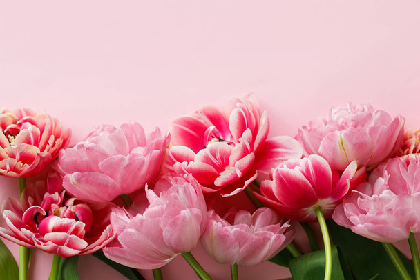 Lindas tulipas vermelhas planas jazem no fundo rosa. Borda floral elegante com espaço para texto. Feliz Dia dos Namorados e feliz dia da mãe. Modelo de flores rosa e vermelho macio - Foto, Imagem