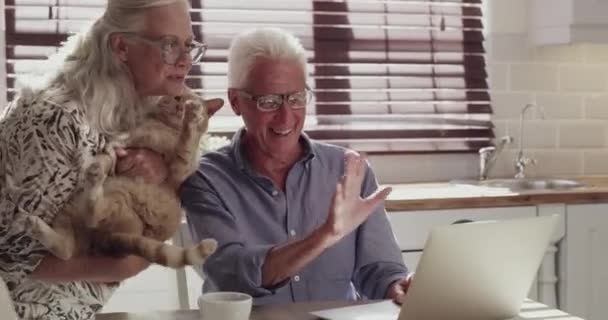 Oudere echtparen, thuis en golf op videogesprek, internetverbinding en communicatie met kat. Keuken, ouderen en dieren op virtuele chat of gesprek, begroeting en contact over technologie. - Video