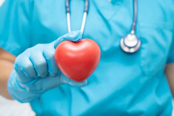 Γιατρός κρατώντας μια κόκκινη καρδιά στο θάλαμο του νοσοκομείου, υγιή ισχυρή ιατρική έννοια. - Φωτογραφία, εικόνα