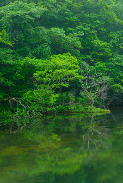 Estanque Tsutanuma en Aomori, Japón
 - Foto, imagen