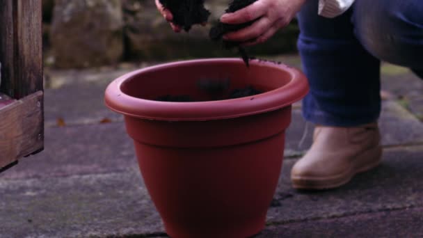 Gardener adding soil to plant pot background pot medium slow motion zoom shot selective focus - Footage, Video