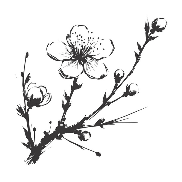 Kwiat wiśni, sztuka botaniczna. Wiosenne migdały, sakura, gałąź jabłoni, ilustracja wektora ręcznego rysowania doodle. Ładny czarny tusz sztuki, izolowane na białym tle. Realistyczny szkic kwiatowy - Wektor, obraz
