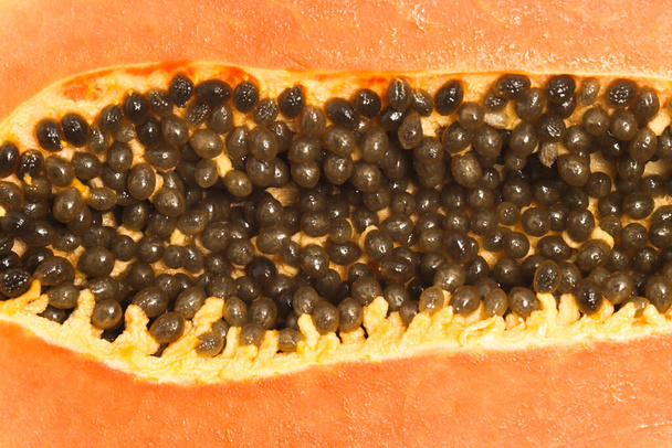 Close-up textuur detail zaden van verse biologische papaya heerlijk fruit geïsoleerd op witte achtergrond clipping pad - Foto, afbeelding
