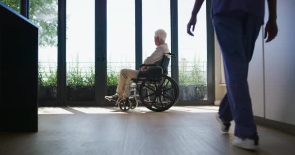 Invalidní vozík, starší muž a pečovatel konverzace o péči o seniory, zdravotní podporu nebo služby domova důchodců. Laskavost, klinika a zdravotní sestra empatie k pacientovi, klientovi nebo staré osobě se zdravotním postižením. - Záběry, video