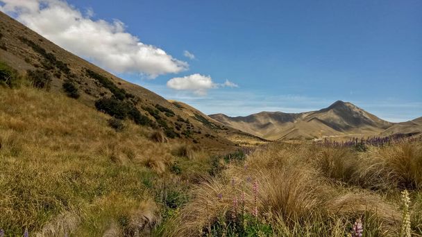 Όμορφη θέα στο βουνό, γαλάζιος ουρανός και λουλούδια στο Lindis Pass, Νέα Ζηλανδία. - Φωτογραφία, εικόνα