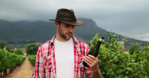 un agricoltore con una camicia a quadri in una cantina che tiene in mano una bottiglia di vino. un viticoltore in un cappello versa il vino da una bottiglia in un bicchiere in un vigneto vicino alle montagne. uomo beve vino - Filmati, video