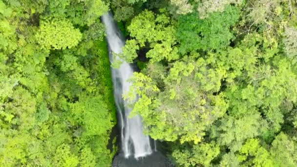 Pulang-Tubig Falls in green forest. Waterfall in the tropical mountain jungle. Negros, Philippines. - Footage, Video