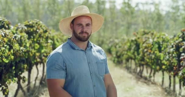 Viinitarha, kädet ristissä ja onnellinen mies maatalouden, sadonkorjuun ja kestävän viinitilan maaseudulla pellolla, viinitilalla tai luonnossa. Muotokuva, työkokemus ja asiantunteva maanviljelijä, joka on ylpeä maatalousliiketoiminnasta. - Materiaali, video