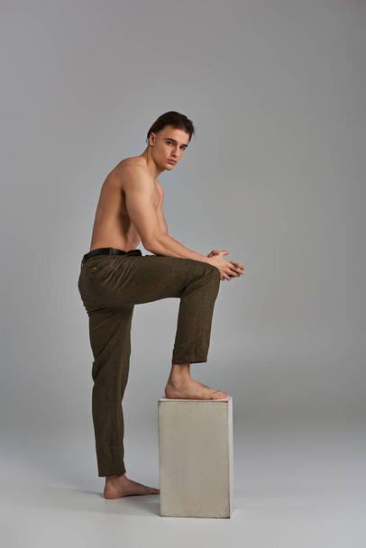 seductor joven modelo masculino sin camisa en pantalones elegantes posando seductor y mirando a la cámara - Foto, imagen