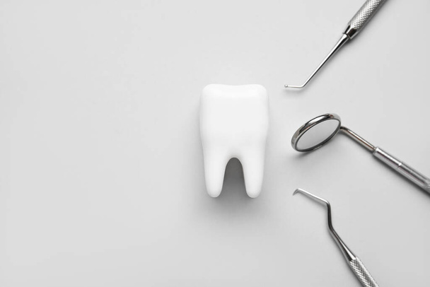 Modelo de dente com ferramentas dentárias em fundo branco. Dia Mundial do Dentista - Foto, Imagem