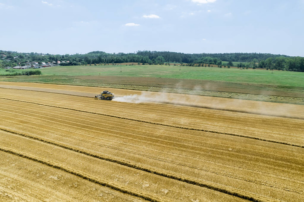 Современная сельскохозяйственная практика, в том числе использование комбайнов, произвела революцию в уборке пшеницы, сделав ее более эффективной и продуктивной.. - Фото, изображение