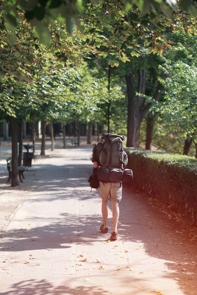 Samotny turysta spacerujący po parku. Wędrujący biolog w parku miejskim. Wędrując przez nieznane miasto. - Zdjęcie, obraz