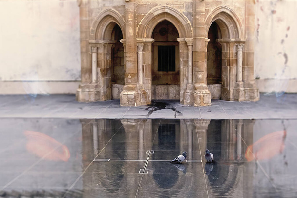 Pigeons dans la cour de la cathédrale - Photo, image