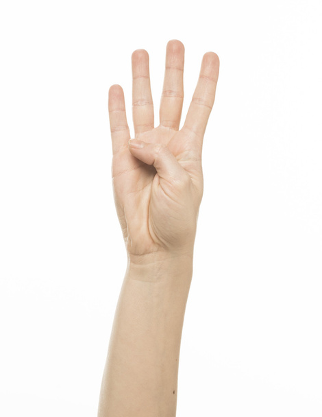 Female finger counting gesture - 写真・画像