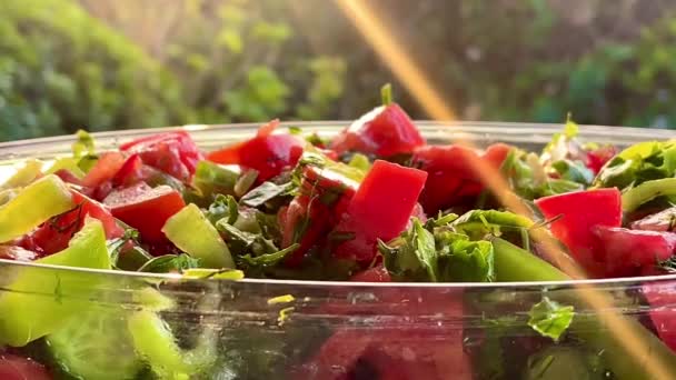 Cuenco de ensalada de jardín fresco con tomates maduros, verduras crujientes y pimientos, servido al atardecer junto al mar, video en cámara lenta - Metraje, vídeo