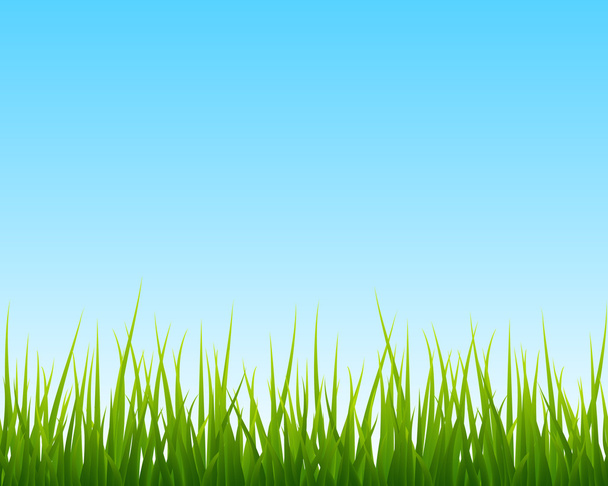 little green grass, blue sky seamless background - Vector, Image