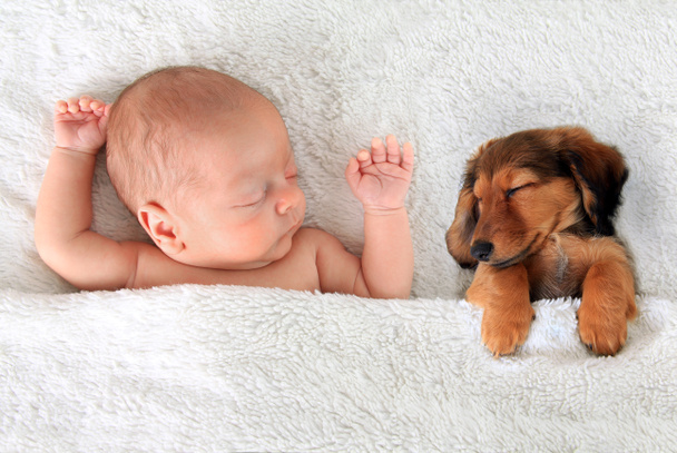 Sleeping newborn baby and puppy - Photo, Image