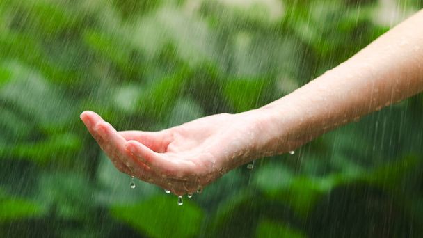 Primer plano de la mano femenina bajo la lluvia con gotas de agua sobre fondo verde borroso. - Foto, Imagen