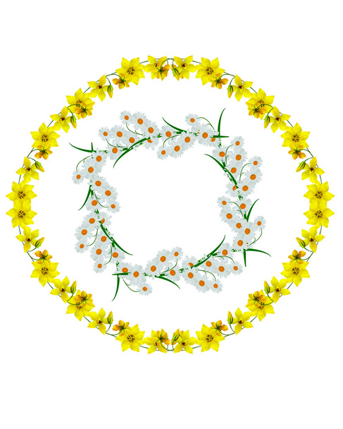 gelbe Wildblumen isoliert auf weißem Hintergrund - Foto, Bild