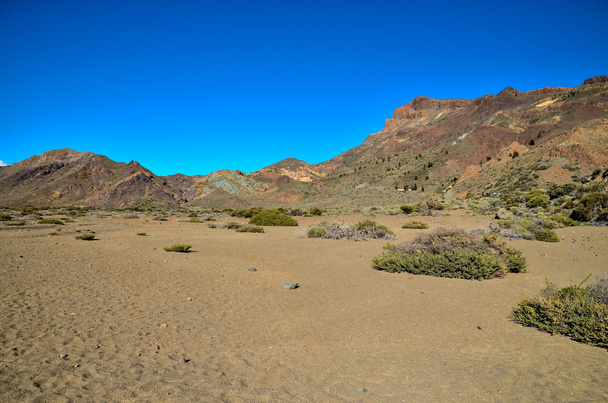 Krajobraz pustynny w Parku Narodowym Volcan Teide - Zdjęcie, obraz