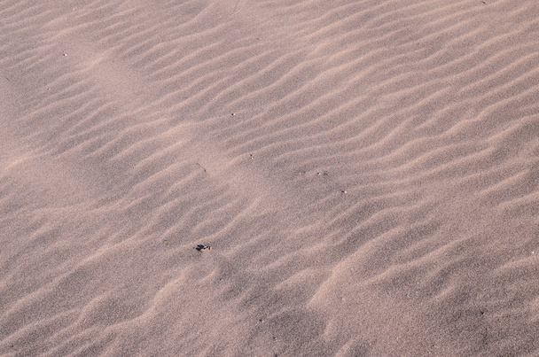 Strand an der trockenen Lavaküste - Foto, Bild