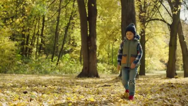 Fall Learning Quest: Happy Schoolboy Marching on Yellow Leaves to Classroom Discoveries. High quality 4k footage - Footage, Video