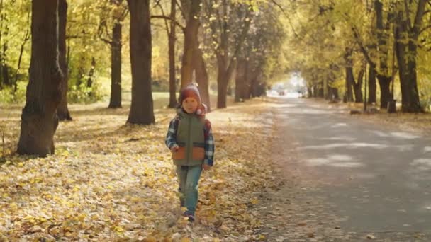 Back to School Adventures: Joyful Kid Trekking Through Autumn Leaves to Classroom Eccitement. Filmati 4k di alta qualità - Filmati, video