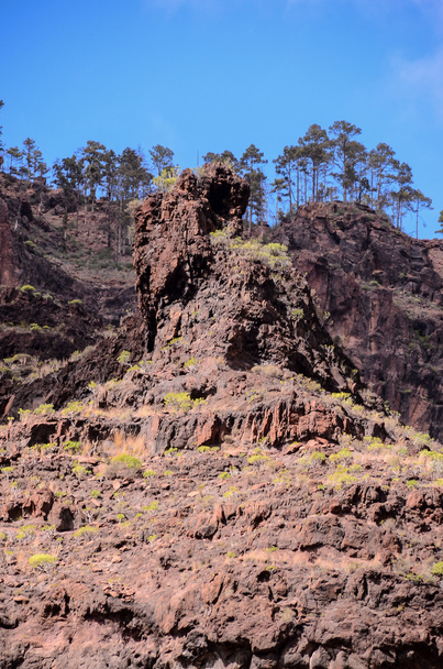 Formação Basáltica de Rocha Vulcânica em Gran Canaria - Foto, Imagem