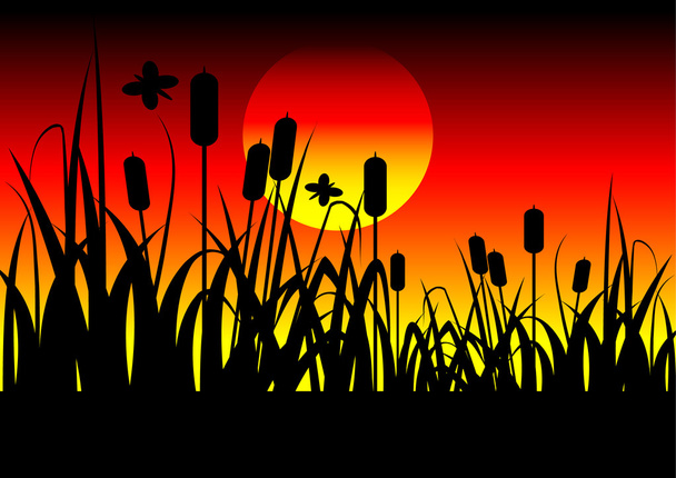 a mező és a naplemente - Vektor, kép