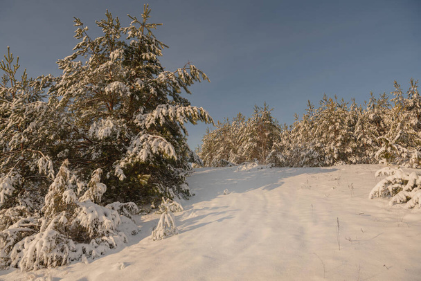 Tél, fagyos táj Podlasie-ban. Lengyelország - Fotó, kép