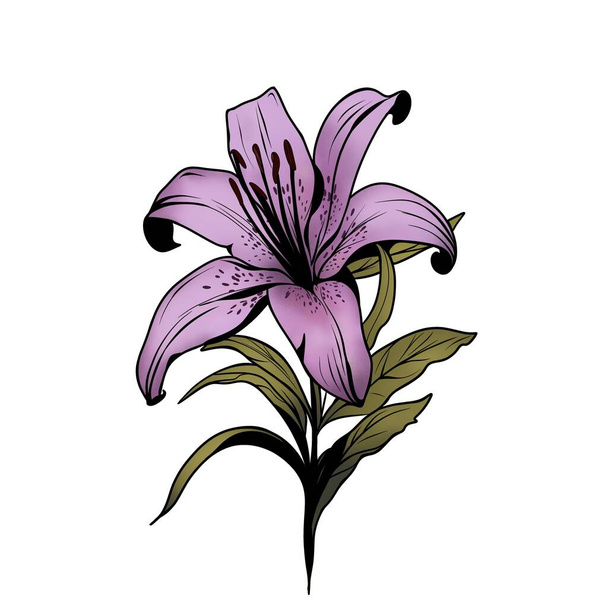 Lily flower watercolor illustration drawn by hand. Beautiful detailed sketch of a botanical tattoo - Photo, Image
