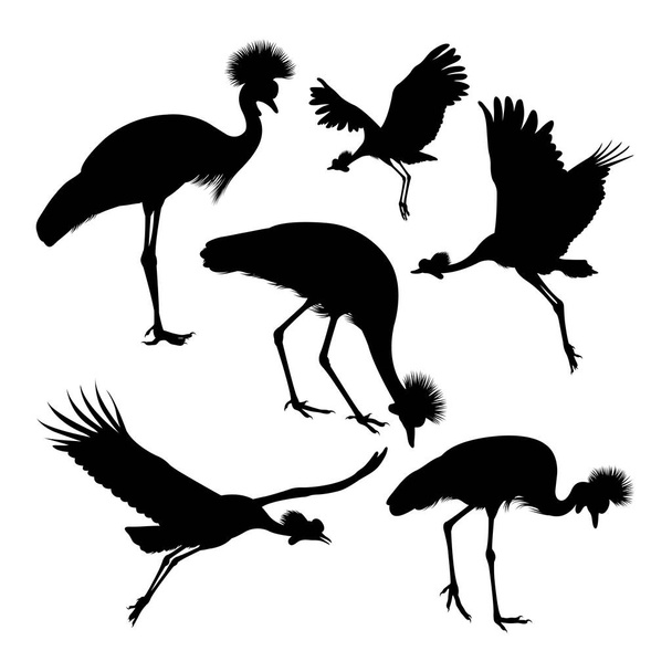Krásné korunované jeřáby ptačí siluety. Dobré použití pro symbol, logo, ikonu, podpis, nebo jakýkoli design, který chcete - Vektor, obrázek