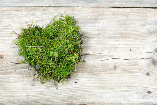 heart shape from moss and grass on old wood, love background - Foto, afbeelding