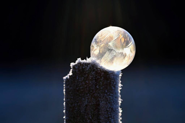 Gefrorene Blase in der Natur. Eine schöne Makroaufnahme der Natur im Winter. Konzept für Umwelt, Wasser und Frost. - Foto, Bild