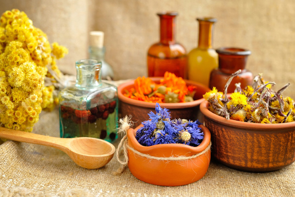 Healing herbs and tinctures in bottles on sackcloth, dried flowers, herbal medicine - Photo, Image
