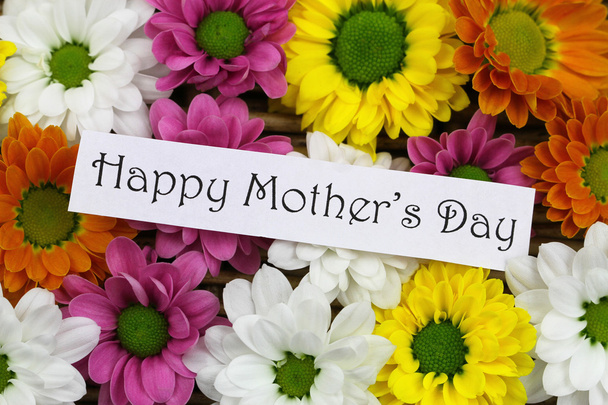 Happy Mother's day card with colorful Santini flowers - Fotografie, Obrázek