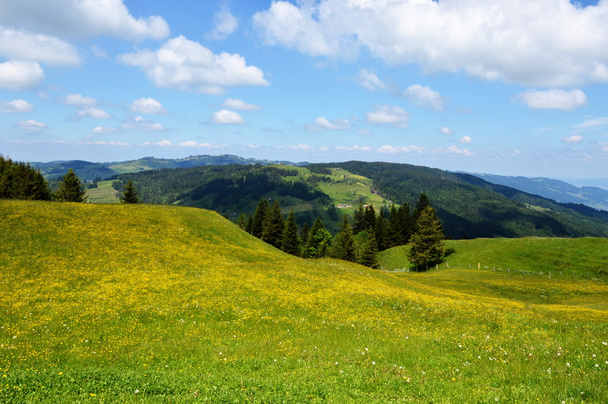 Appenzeller Landschaft - Foto, Bild