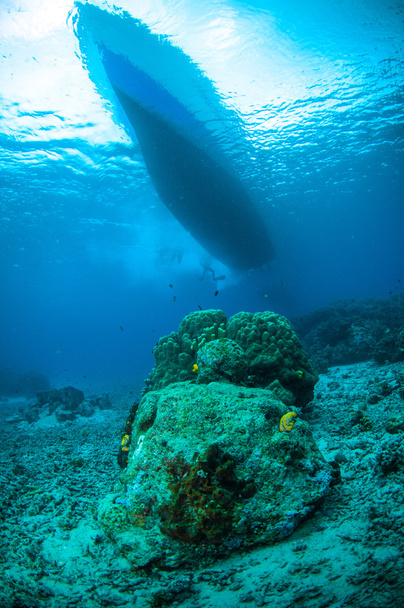Σφουγγάρι κάτω από το καράβι bunaken sulawesi Ινδονησία υποβρύχια φωτογραφία - Φωτογραφία, εικόνα