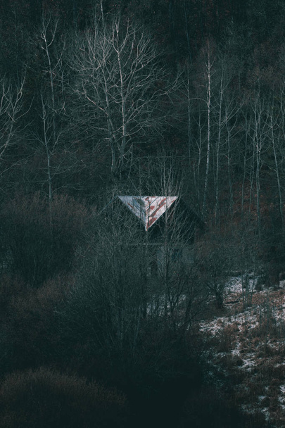 Kleines verlassenes Haus im tiefen dunklen Wald während der kalten Wintertage. - Foto, Bild