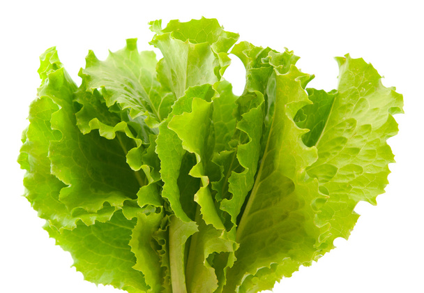 Lettuce leaves - Photo, Image