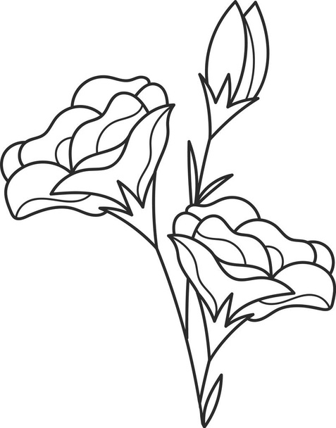 Flores Esquema Arte Vector Ilustración - Vector, Imagen