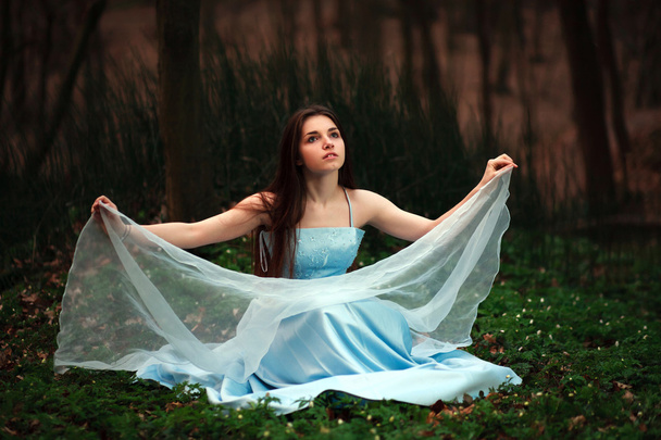 Romantic young girl in a long blue dress, in twilight forest - Фото, изображение