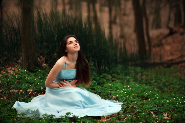 Romantic young girl in a long blue dress, in twilight forest - Фото, изображение