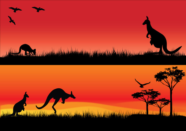 Canguri australiani al tramonto
 - Vettoriali, immagini
