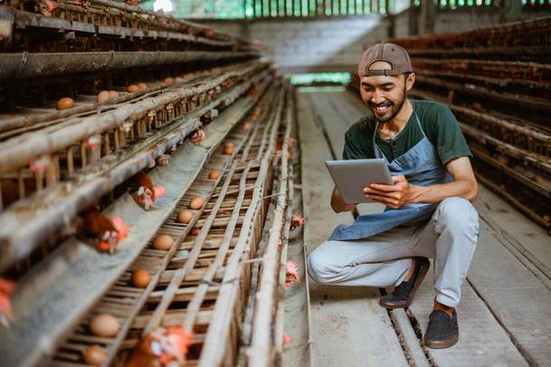 Asian entrepreneur works with a tablet while kneeling close to chicken cages at a chicken farm - Fotó, kép