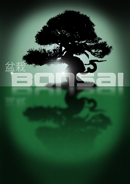 Bonsai.
 - Foto, Imagem